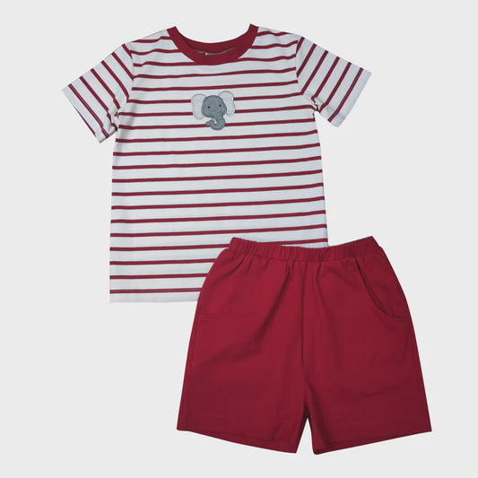 Elephant Boys Shorts Set