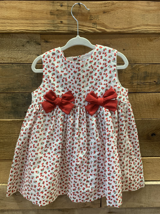 Mini Strawberry Dress